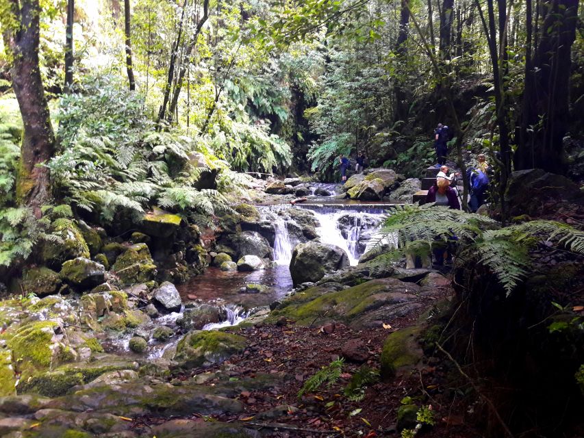 From Funchal: São Jorge Valleys Levada Walk - Breaks, Views, and the Flow of a Typical Day