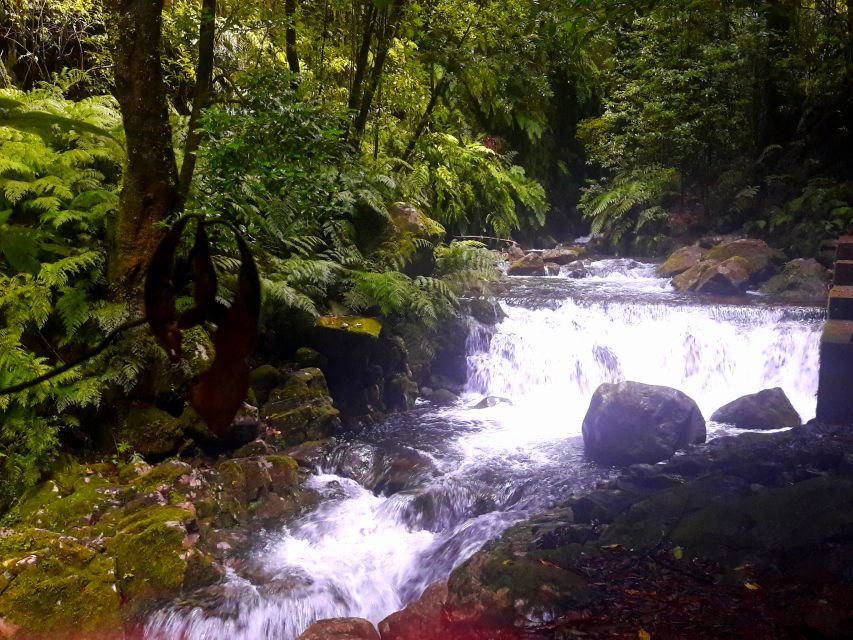 From Funchal: São Jorge Valleys Levada Walk - Footwear, Water, and No Lunch Included: Simple Planning for Real Comfort