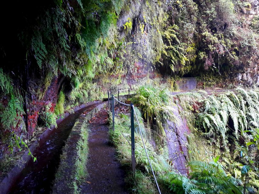 From Funchal: São Jorge Valleys Levada Walk - Price and Value: Is $50 a Good Deal?