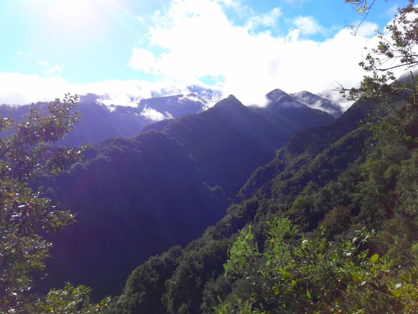 From Funchal: São Jorge Valleys Levada Walk - Who Should Book This Levada Walk?