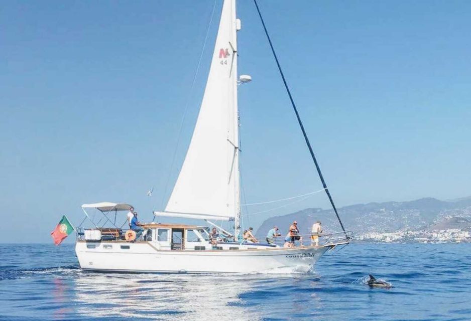 From Funchal: West Bays Sailing Tour with Lunch - Sailing the West Bays from Funchal: what this 5 hours really feels like