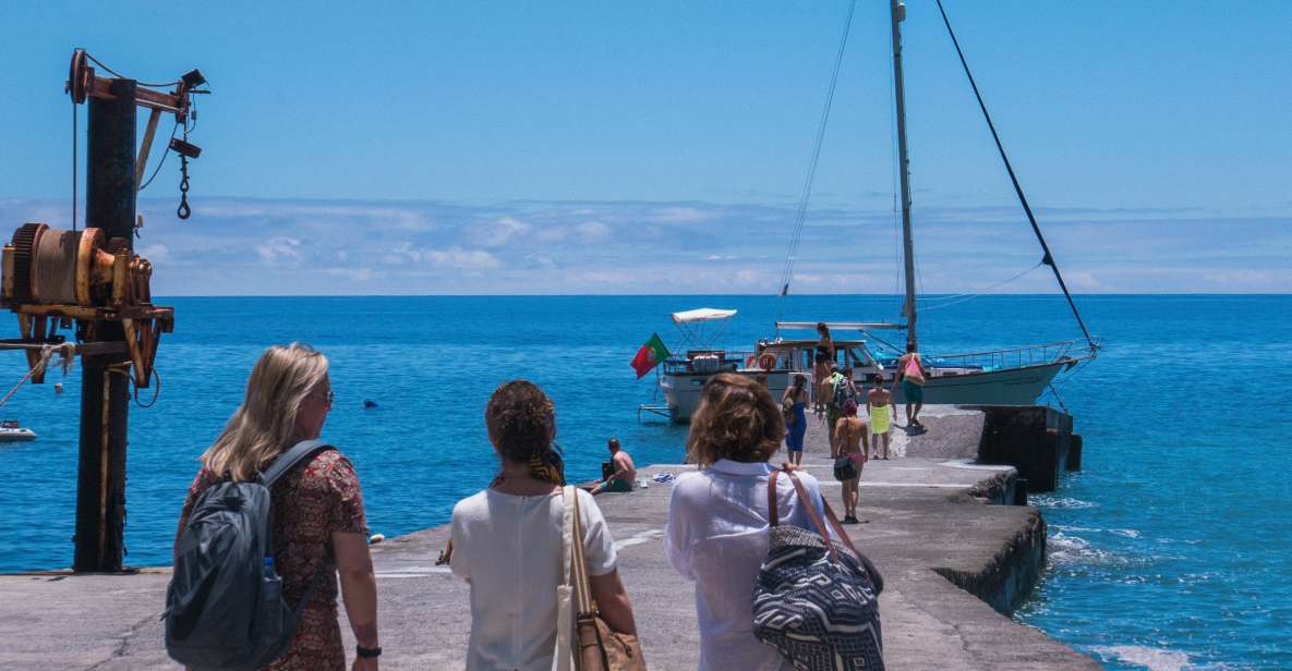 From Funchal: West Bays Sailing Tour with Lunch - Wildlife hunting: dolphins, whales, and sea turtles are the whole point