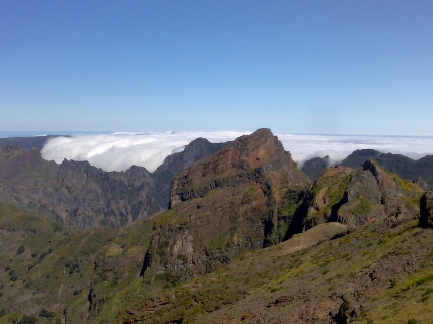 From Funchal: West Madeira Waterfalls and Fanal Forest Tour - What to Bring for Madeira Weather Swings and Pool Stops