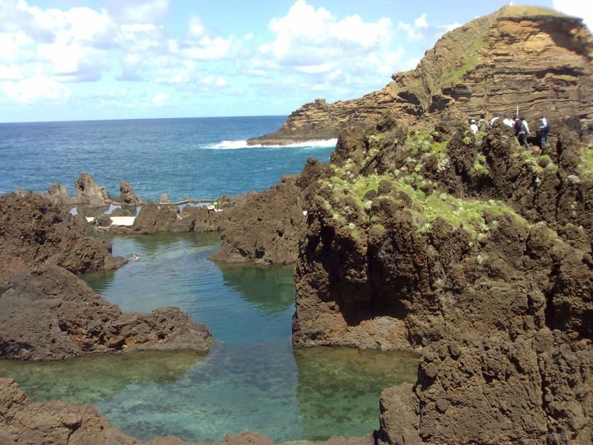 From Funchal: West Madeira Waterfalls and Fanal Forest Tour - Pickup Timing, Vehicle Comfort, and How the Schedule Feels