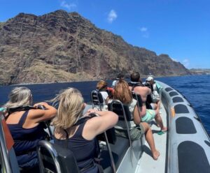 From Funchal: Whale and Dolphin Watching - The 2.5-hour flow: what you’ll actually do off Funchal