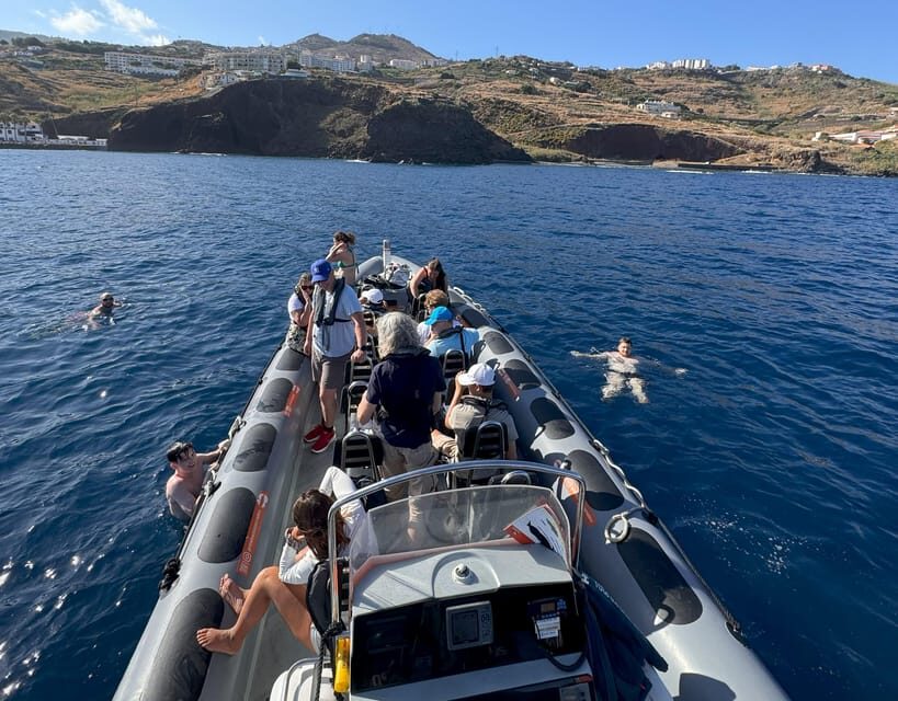 From Funchal: Whale and Dolphin Watching - Comfort and safety on a semi-rigid speedboat