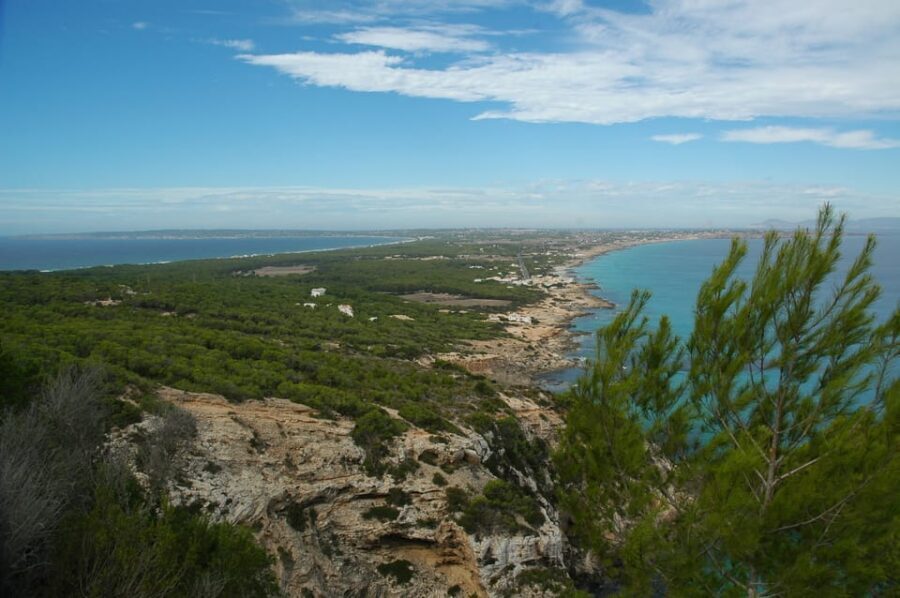 From Ibiza: Ferry and Guided Bus Excursion in Formentera - Key takeaways before you go