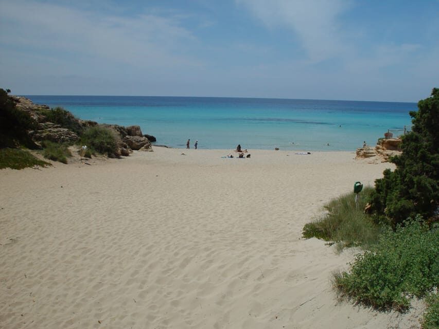 From Ibiza: Ferry and Guided Bus Excursion in Formentera - The Mirador viewpoint: where the photos actually make sense