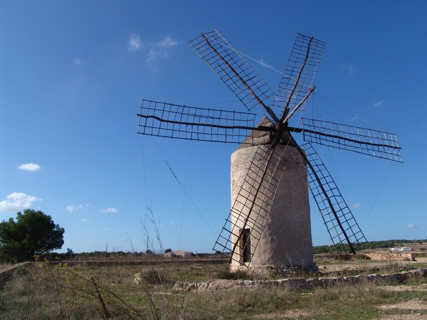From Ibiza: Ferry and Guided Bus Excursion in Formentera - Las Salinas salt flats: the classic Formentera stop, plus swim time
