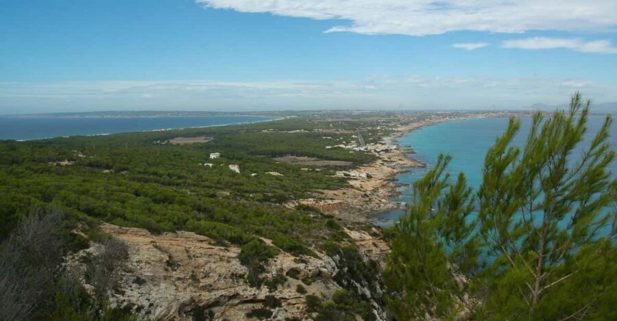 From Ibiza: Ferry and Guided Bus Excursion in Formentera - Hotel pick-up versus meeting at the port: know which style you prefer