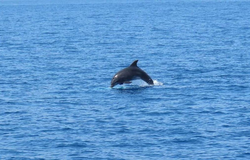 From Kos:A full day cruise in the newest luxury vessel! - The surprise stop: why that extra time feels like a win