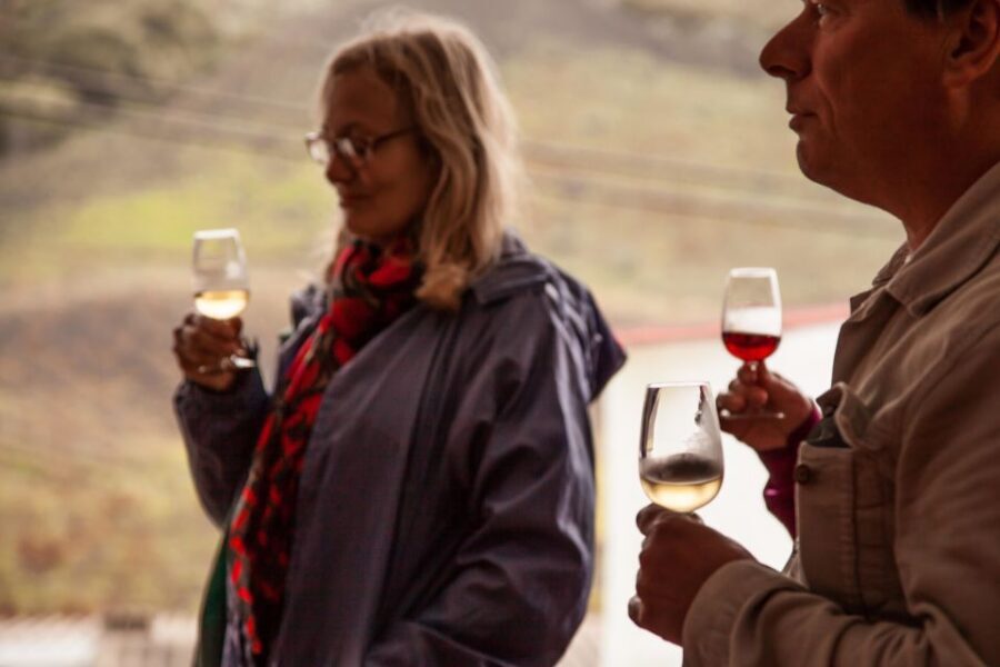 From Las Palmas: Full-Day Tour of the North - Vineyard Time in the West: optional wine and local cheese inside the vines