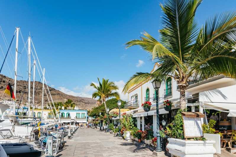 From Las Palmas: Highlights of Gran Canaria Day Tour - A smooth way to see Gran Canaria’s south from Las Palmas