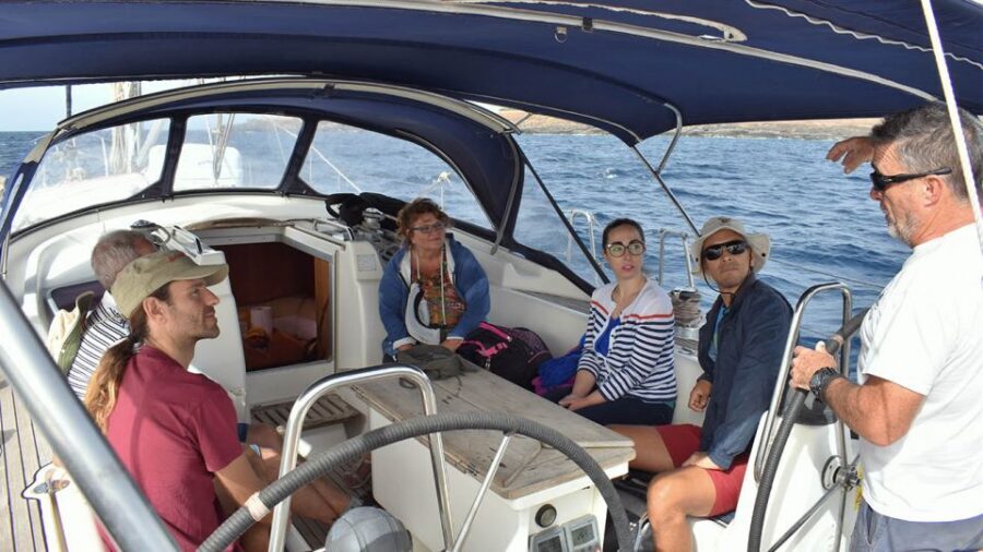 From Los Gigantes: Whale Watching Sailboat Cruise - Who this cruise is for (and who should plan around the downsides)