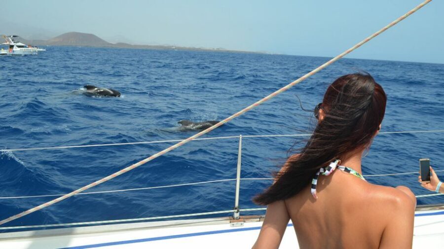 From Los Gigantes: Whale Watching Sailboat Cruise - Sailing past the cliffs and toward the Teide: the calm hour