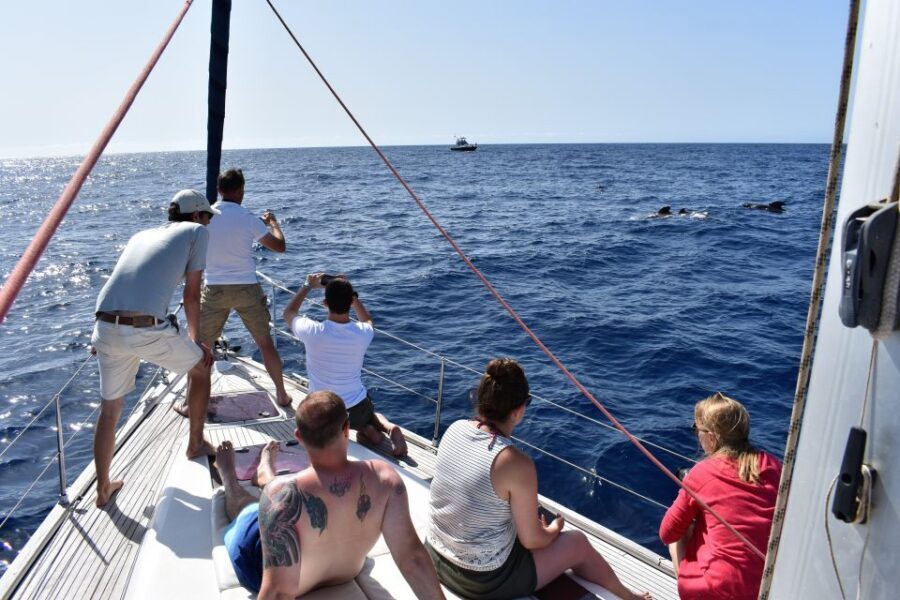 From Los Gigantes: Whale Watching Sailboat Cruise - Homemade tapas and drinks onboard: the part that extends the trip