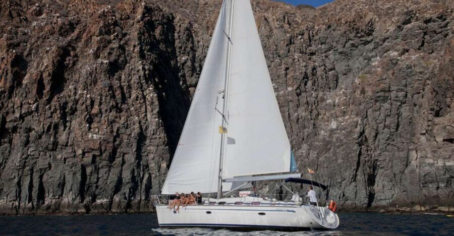 From Los Gigantes: Whale Watching Sailboat Cruise - Picarus Sailing Club and your boat, Aemon or Ayla