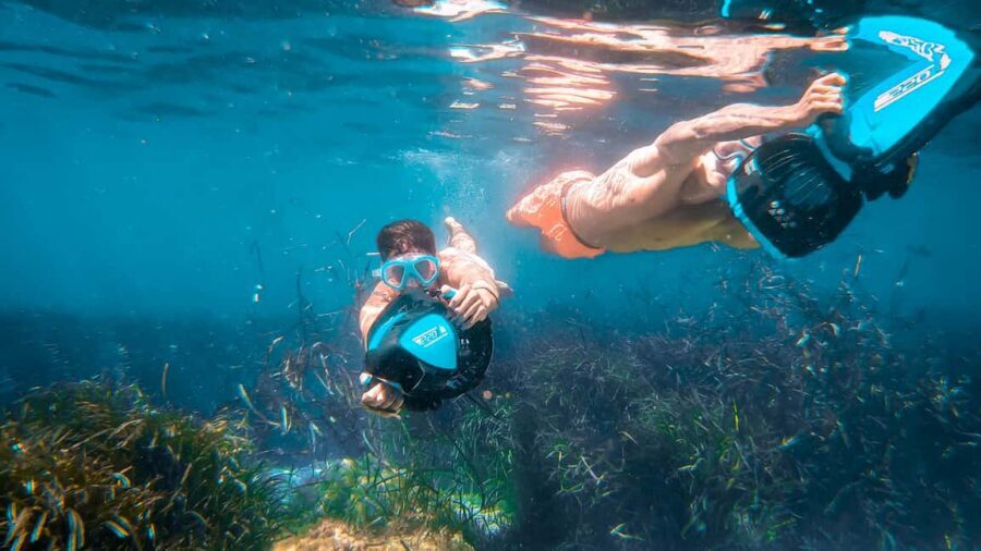 From Magaluf: Palma Bay Sightseeing Cruise with Live Music - The swim stop in secluded coves: what you can do