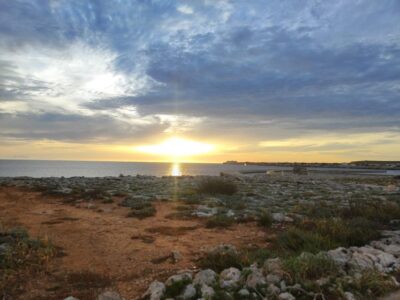 From Mallorca: Guided Day Trip to Menorca - The ferry from Puerto de Alcudia: start your day on the water