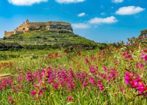 From Malta: Gozo Full-Day Tour with Guide, Temples, & Train - Victoria’s Citadella: views, the old prison, and the tight timing reality