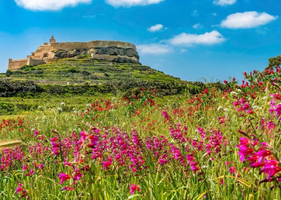 From Malta: Gozo Full-Day Tour with Guide, Temples, & Train - Victoria’s Citadella: views, the old prison, and the tight timing reality