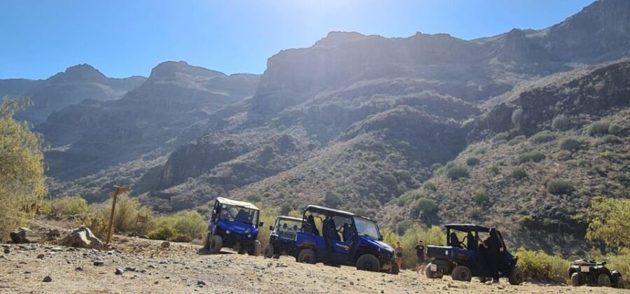 From Maspalomas: Volcanic Landscapes 4-Seater Buggy Tour - Volcanic and tropical views: what you’ll drive through