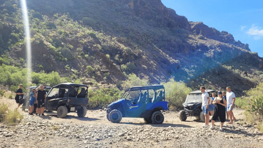 From Maspalomas: Volcanic Landscapes 4-Seater Buggy Tour - Practical tips to avoid the common buggy-tour annoyances