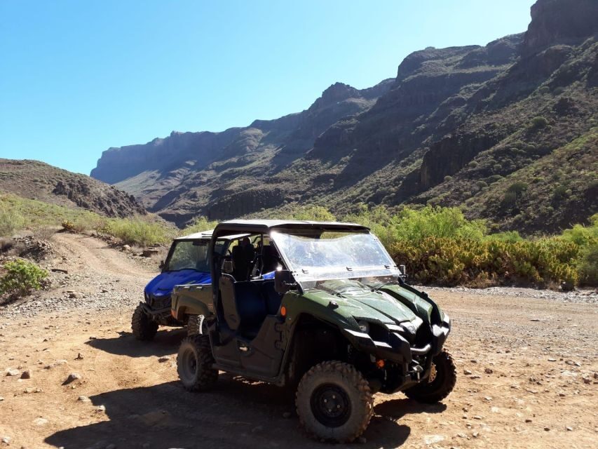 From Maspalomas: Volcanic Landscapes 4-Seater Buggy Tour - So, should you book this Maspalomas buggy tour?