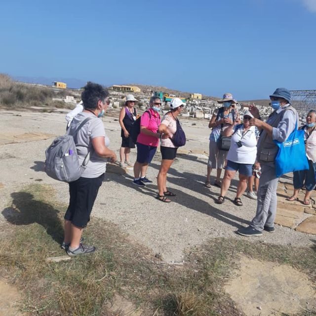 From Mykonos: Ancient Delos Tour - Practical details that make or break the day
