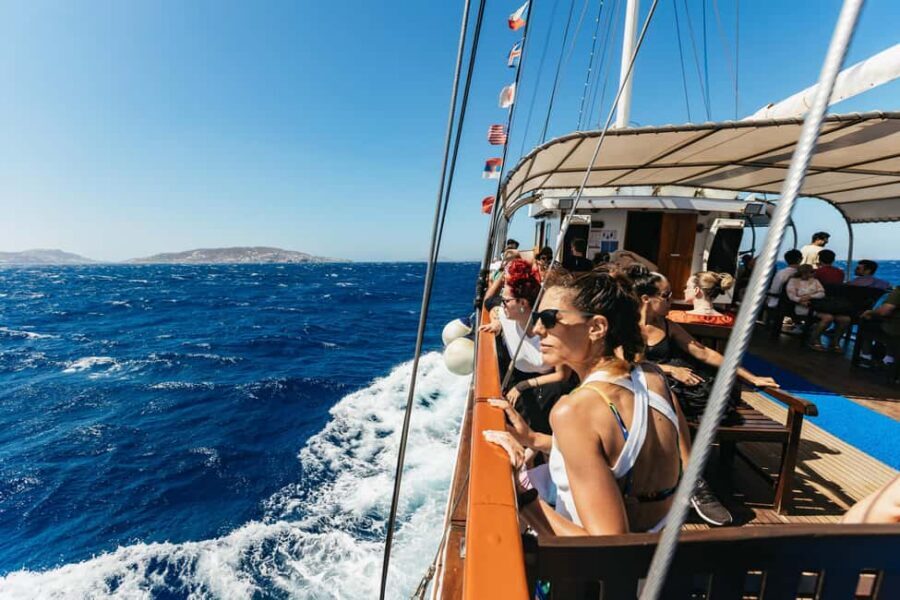 From Mykonos: Cruise to Delos and Rhenia with Lunch - From Mykonos Old Port to Rhenia’s Private Beach Break