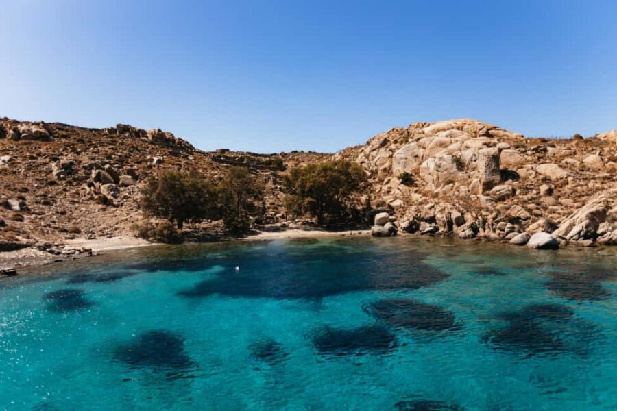 From Mykonos: Cruise to Delos and Rhenia with Lunch - What to Look For at Delos: Dionysus, Cleopatra, and the Mosaics