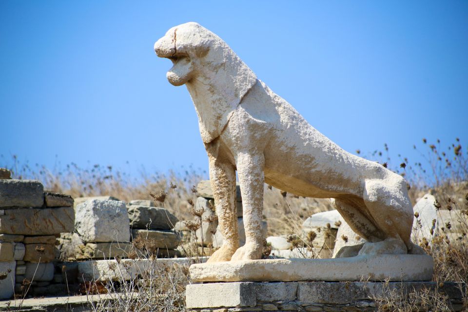 From Mykonos: Delos Archaeological Site Guided Evening Tour - House of Dionysus: Marble Columns, Mosaics, and Painted Walls