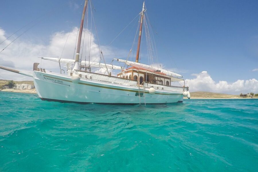 From Mykonos: Delos & Rhenia Islands Half-Day Trip by Boat - Key highlights I’d prioritize