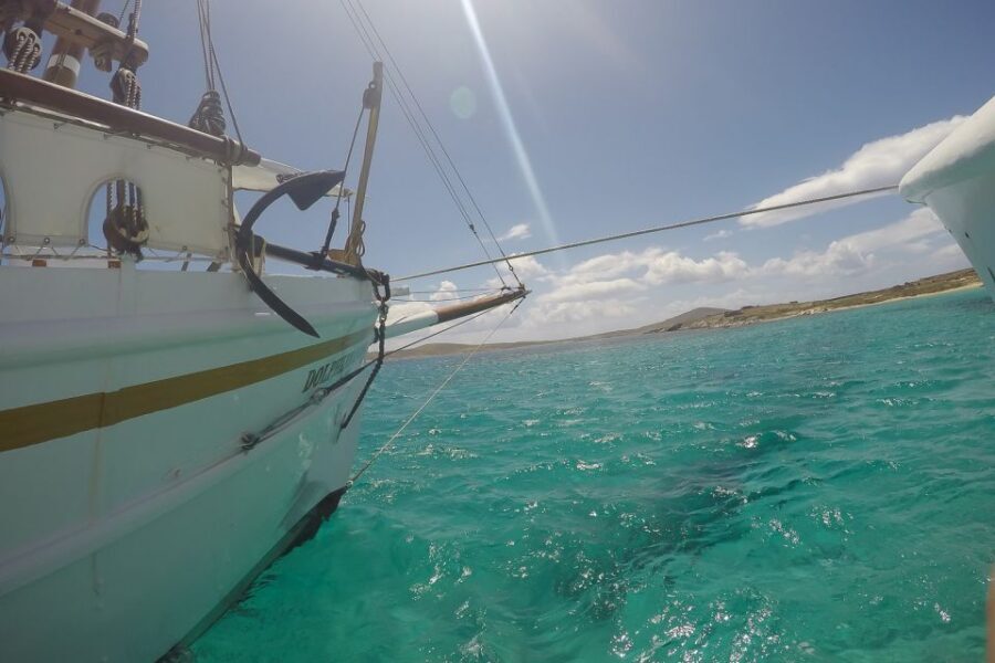 From Mykonos: Delos & Rhenia Islands Half-Day Trip by Boat - Who this trip suits best (and who should rethink it)