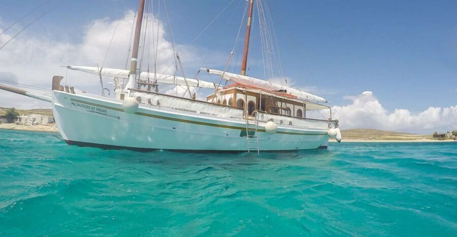 From Mykonos: Delos & Rhenia Islands Half-Day Trip by Boat - Price and what $101 really buys (plus the real add-ons)