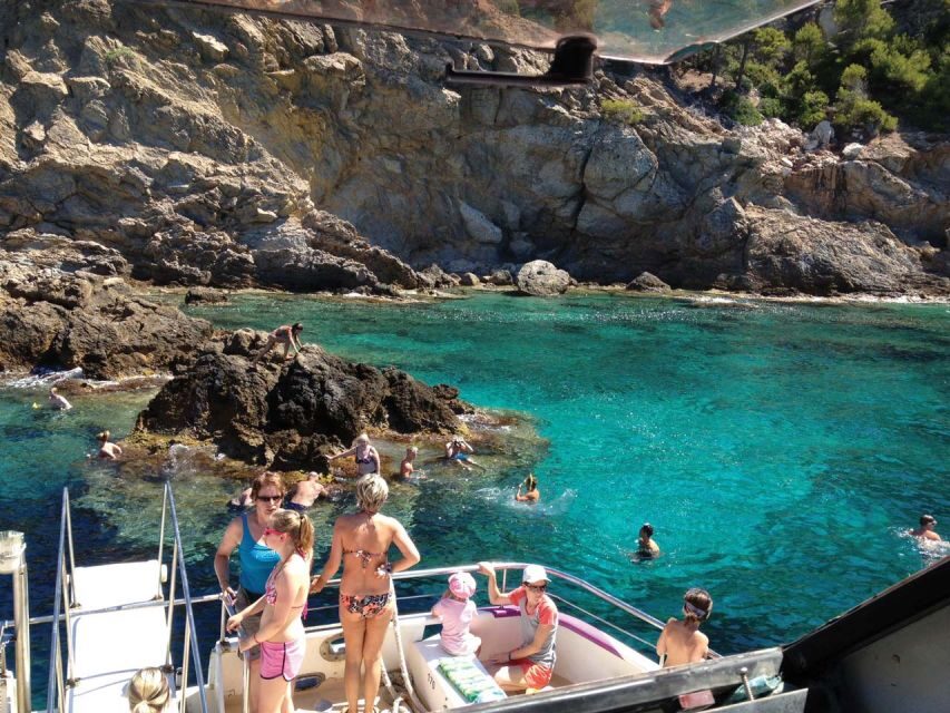 From Palma: 3-Hour Morning Dolphin Watching Boat Tour - Dolphin Watching From Palma: Carpe Diem, the 10:30 Start, and Transfers