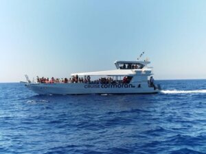 From Palma: 3-Hour Morning Dolphin Watching Boat Tour - How the Dolphin Search Works (And What to Expect if You Don’t See Them)