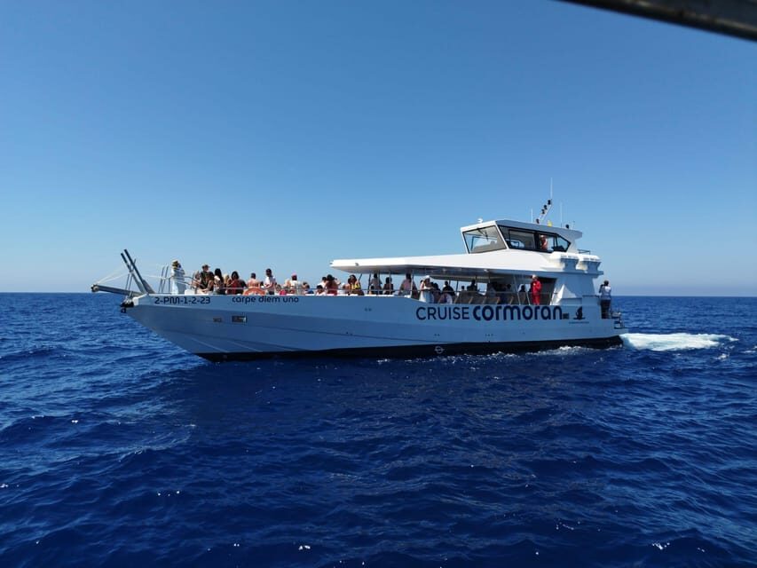 From Palma: 3-Hour Morning Dolphin Watching Boat Tour - The Onboard Vibe: Crew, Seating, Toilet, and the Bar