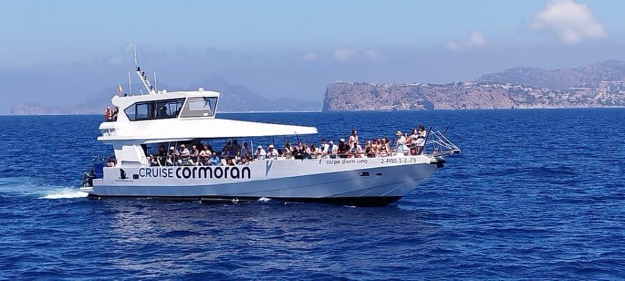 From Palma: 3-Hour Morning Dolphin Watching Boat Tour - Small Rules That Matter: What to Bring (and What Not to)