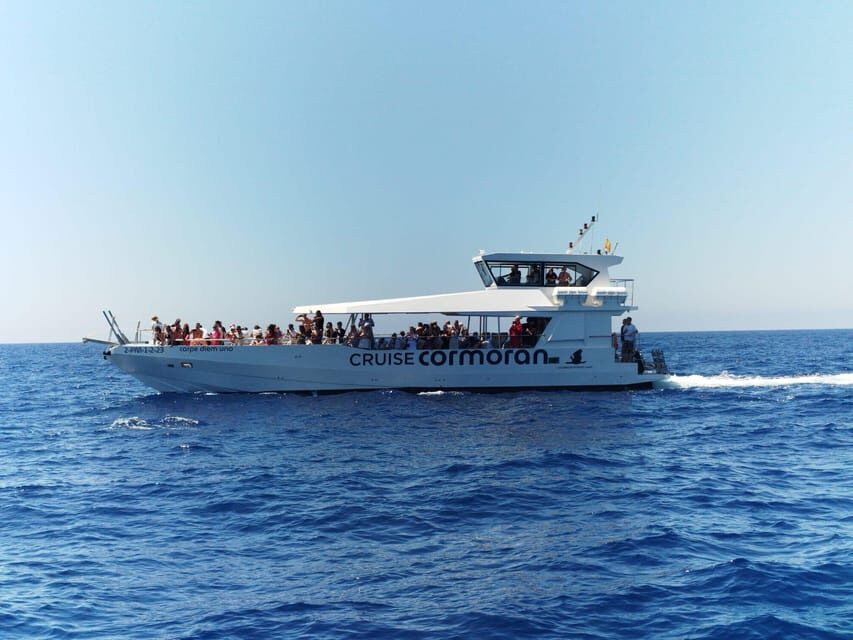 From Palma: 3-Hour Morning Dolphin Watching Boat Tour - How the Dolphin Search Works (And What to Expect if You Don’t See Them)
