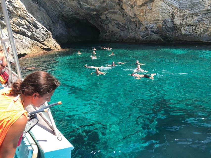 From Palma: Afternoon Dolphin-Watching Boat Tour - Dolphins on Their Terms: How to Maximize Your Chances
