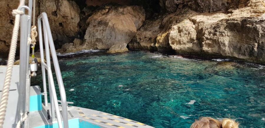 From Palma: Afternoon Dolphin-Watching Boat Tour - The Swim Stop and Optional Snorkel Gear (Cash Required)