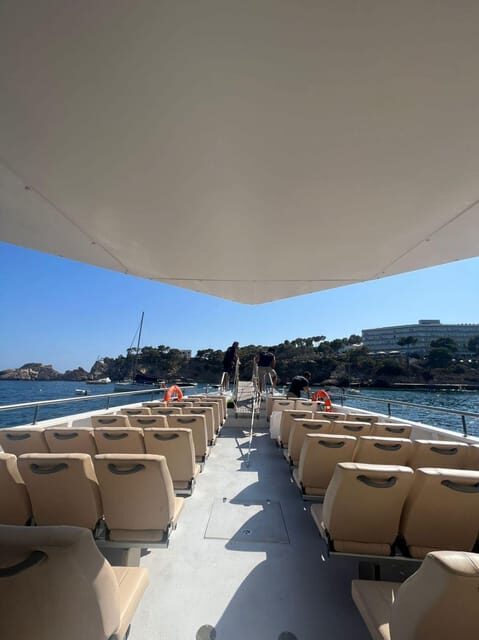 From Palma: Afternoon Dolphin-Watching Boat Tour - Boat Comfort, Crew Energy, and the Info Style