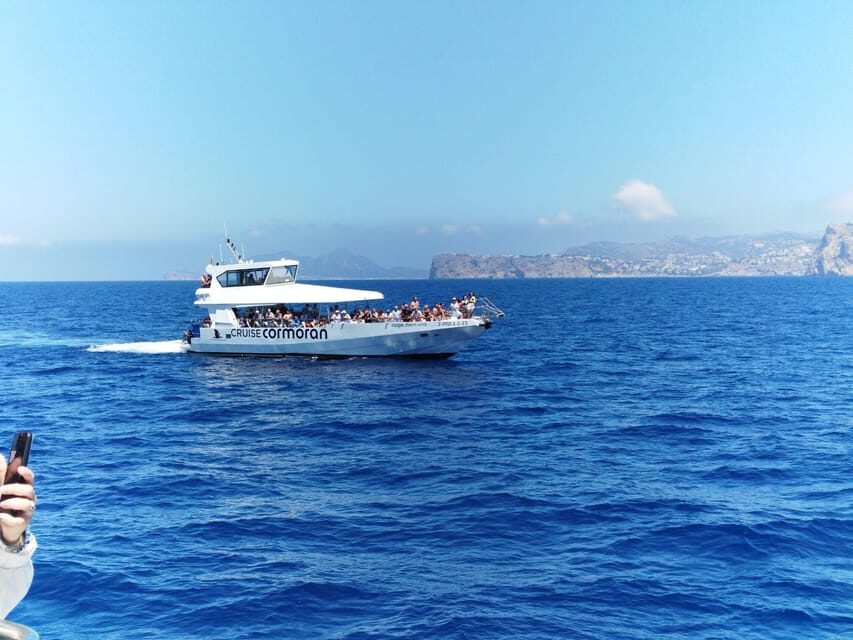 From Palma: Afternoon Dolphin-Watching Boat Tour - Routes, Transfers, and Why Timing Can Feel Longer