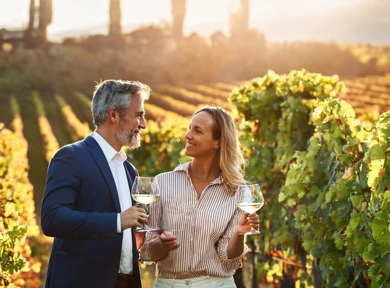 From Palma de Mallorca: Private Wine and Local Flavors Tour - Why this 3-hour Mallorca wine tour from Palma works