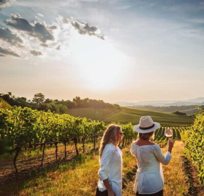 From Palma de Mallorca: Private Wine and Local Flavors Tour - Where you start in Palma (and how to find it fast)