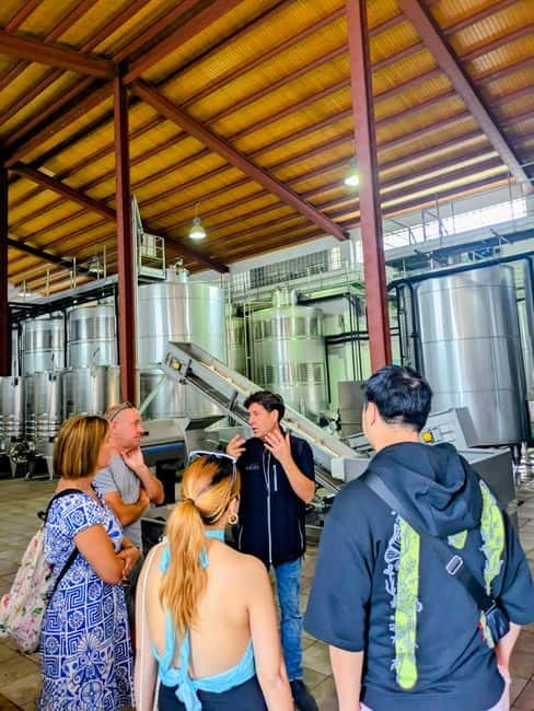 From Palma de Mallorca: Private Wine and Local Flavors Tour - Winery visit: vineyards, family legacy, and modern installations