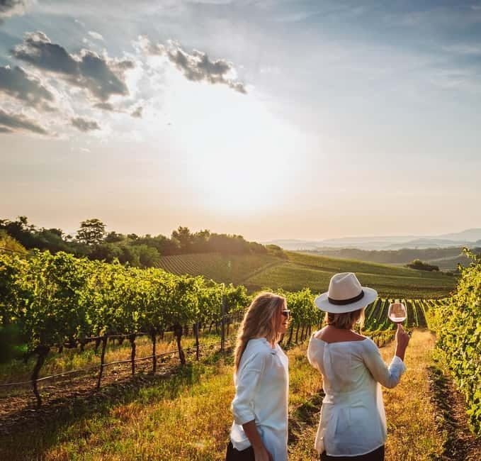 From Palma de Mallorca: Private Wine and Local Flavors Tour - Where you start in Palma (and how to find it fast)