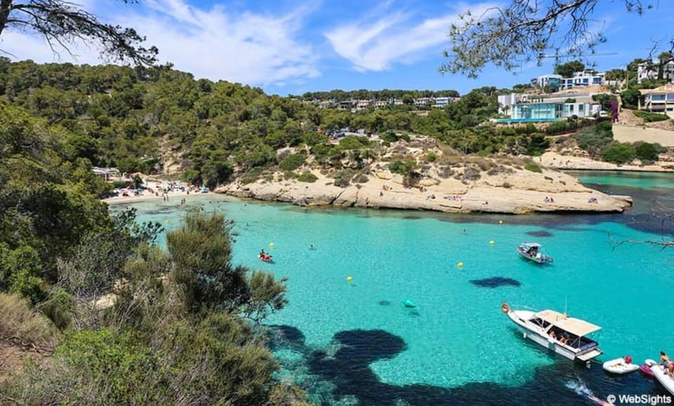From Palma: Portal Vells Beach and Cave SUP & Snorkel Tour - Key highlights at a glance