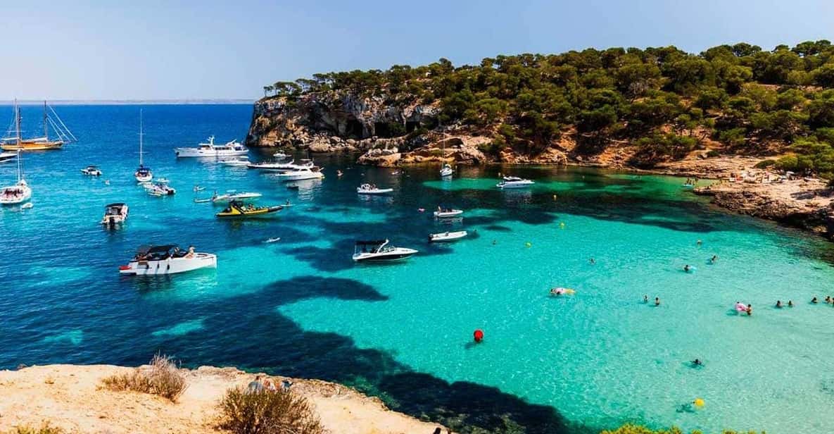From Palma: Portal Vells Beach and Cave SUP & Snorkel Tour - Who this tour suits best (and who should think twice)